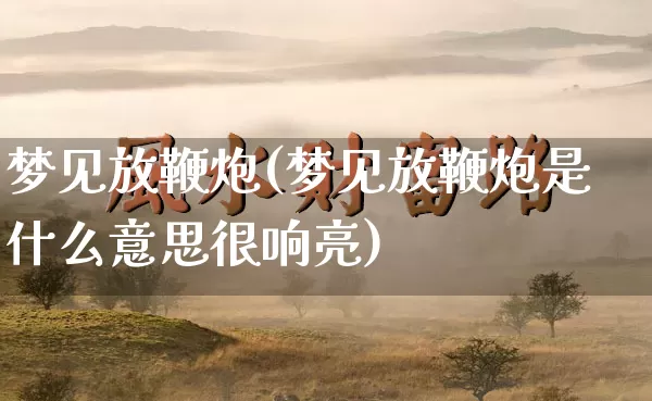 梦见放鞭炮(梦见放鞭炮是什么意思很响亮)_https://www.nbtfsb.com_周公解梦_第1张