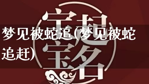 梦见被蛇追(梦见被蛇追赶)_https://www.nbtfsb.com_五行风水_第1张