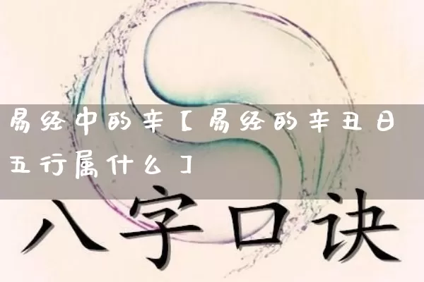 易经中的辛【易经的辛丑日五行属什么】_https://www.nbtfsb.com_五行风水_第1张