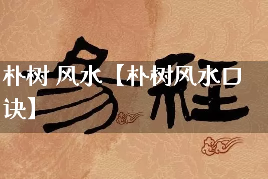 朴树 风水【朴树风水口诀】_https://www.nbtfsb.com_八字算命_第1张