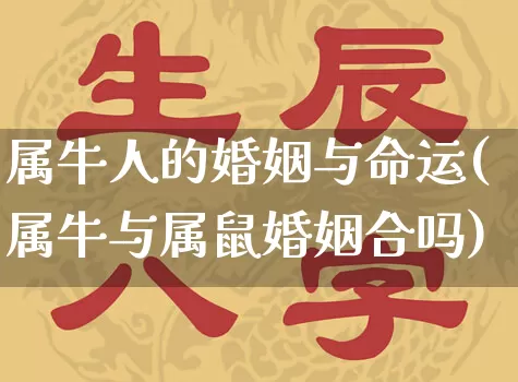 属牛人的婚姻与命运(属牛与属鼠婚姻合吗)_https://www.nbtfsb.com_五行风水_第1张