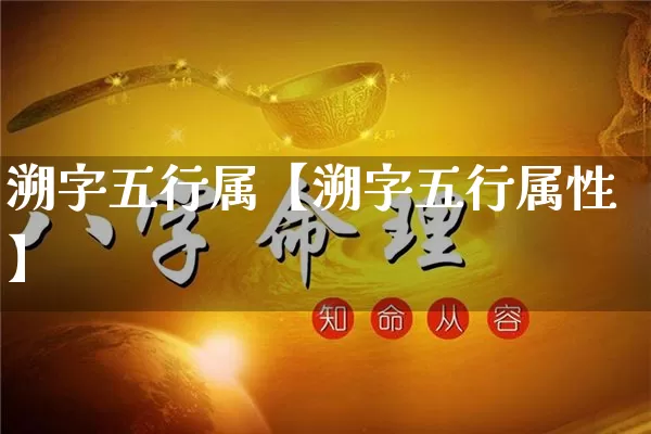 溯字五行属【溯字五行属性】_https://www.nbtfsb.com_八字算命_第1张