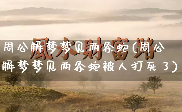 周公解梦梦见两条蛇(周公解梦梦见两条蛇被人打死了)_https://www.nbtfsb.com_道源国学_第1张