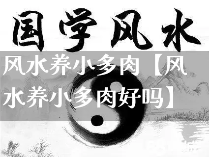 风水养小多肉【风水养小多肉好吗】_https://www.nbtfsb.com_国学动态_第1张