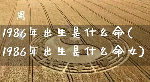 1986年出生是什么命(1986年出生是什么命女)_https://www.nbtfsb.com_易经起名_第1张