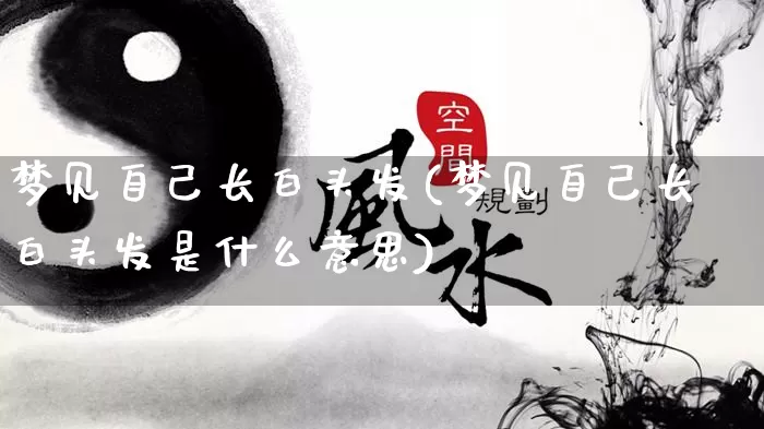 梦见自己长白头发(梦见自己长白头发是什么意思)_https://www.nbtfsb.com_道源国学_第1张