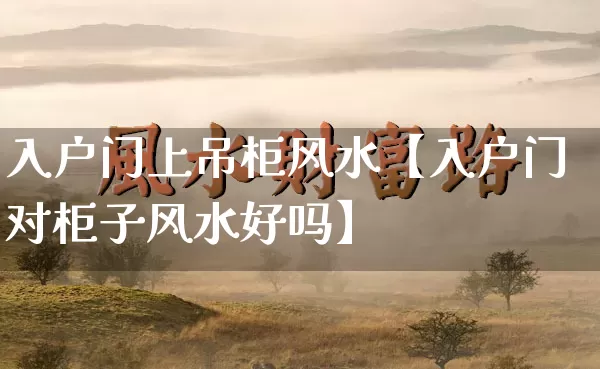 入户门上吊柜风水【入户门对柜子风水好吗】_https://www.nbtfsb.com_生肖星座_第1张