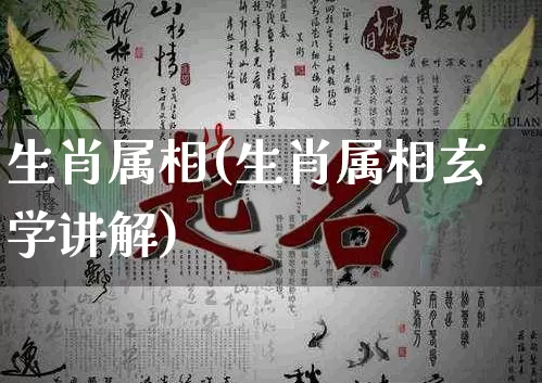 生肖属相(生肖属相玄学讲解)_https://www.nbtfsb.com_五行风水_第1张