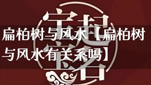 扁柏树与风水【扁柏树与风水有关系吗】_https://www.nbtfsb.com_国学动态_第1张