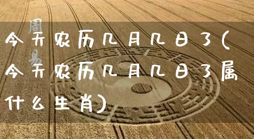 今天农历几月几日了(今天农历几月几日了属什么生肖)_https://www.nbtfsb.com_周公解梦_第1张