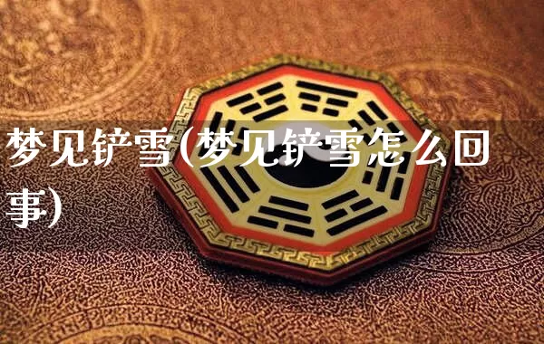 梦见铲雪(梦见铲雪怎么回事)_https://www.nbtfsb.com_易经起名_第1张