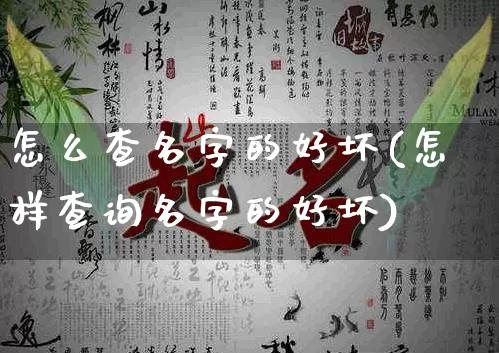 怎么查名字的好坏(怎样查询名字的好坏)_https://www.nbtfsb.com_国学动态_第1张