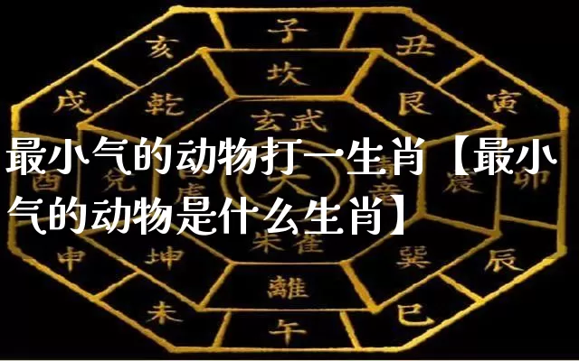 最小气的动物打一生肖【最小气的动物是什么生肖】_https://www.nbtfsb.com_国学动态_第1张