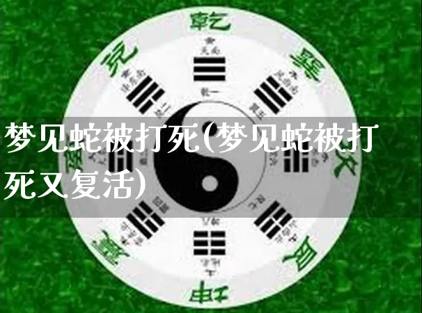 梦见蛇被打死(梦见蛇被打死又复活)_https://www.nbtfsb.com_五行风水_第1张