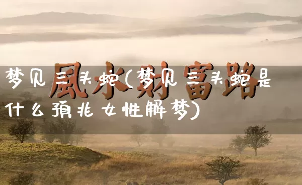 梦见三头蛇(梦见三头蛇是什么预兆女性解梦)_https://www.nbtfsb.com_五行风水_第1张