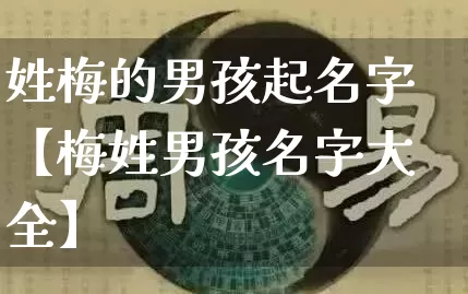 姓梅的男孩起名字【梅姓男孩名字大全】_https://www.nbtfsb.com_易经起名_第1张