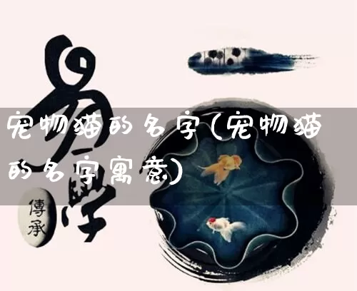 宠物猫的名字(宠物猫的名字寓意)_https://www.nbtfsb.com_周公解梦_第1张