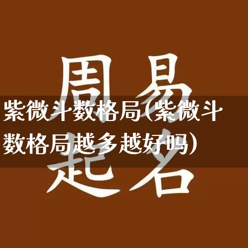 紫微斗数格局(紫微斗数格局越多越好吗)_https://www.nbtfsb.com_易经起名_第1张