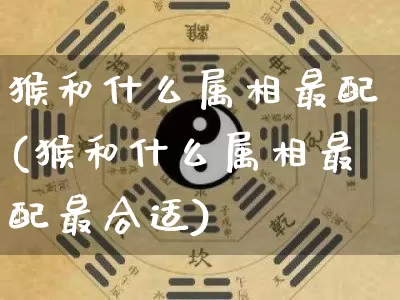 猴和什么属相最配(猴和什么属相最配最合适)_https://www.nbtfsb.com_道源国学_第1张