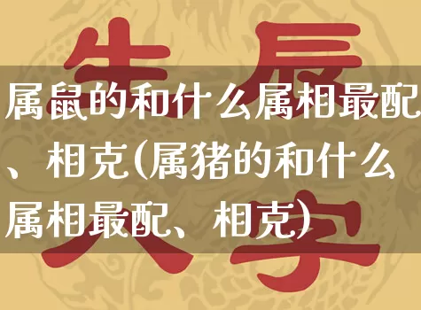 属鼠的和什么属相最配、相克(属猪的和什么属相最配、相克)_https://www.nbtfsb.com_周公解梦_第1张