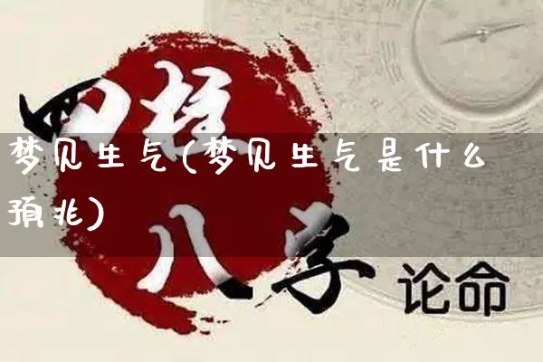 梦见生气(梦见生气是什么预兆)_https://www.nbtfsb.com_国学动态_第1张