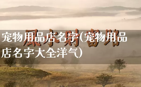宠物用品店名字(宠物用品店名字大全洋气)_https://www.nbtfsb.com_八字算命_第1张