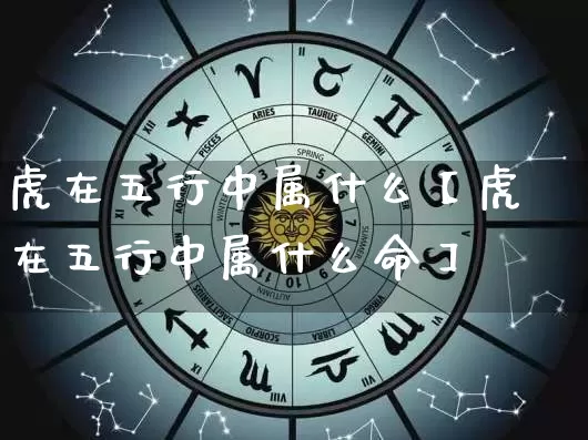 虎在五行中属什么【虎在五行中属什么命】_https://www.nbtfsb.com_道源国学_第1张
