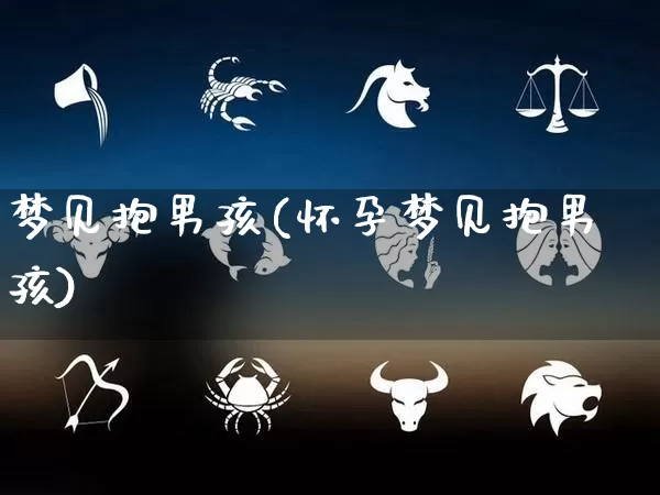 梦见抱男孩(怀孕梦见抱男孩)_https://www.nbtfsb.com_生肖星座_第1张