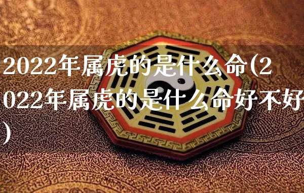 2022年属虎的是什么命(2022年属虎的是什么命好不好)_https://www.nbtfsb.com_五行风水_第1张