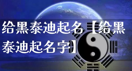 给黑泰迪起名【给黑泰迪起名字】_https://www.nbtfsb.com_八字算命_第1张