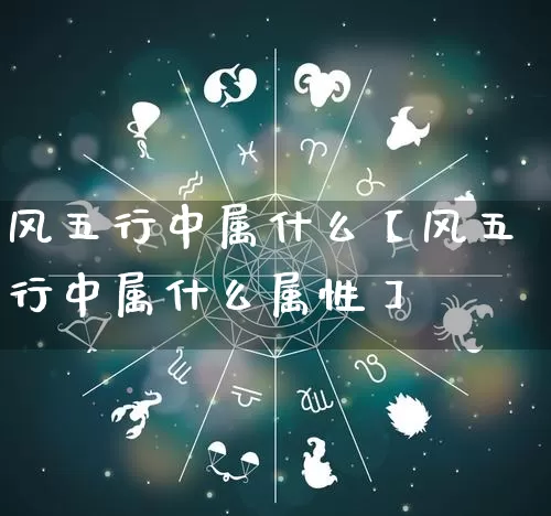 风五行中属什么【风五行中属什么属性】_https://www.nbtfsb.com_五行风水_第1张