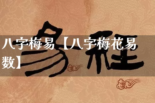 八字梅易【八字梅花易数】_https://www.nbtfsb.com_道源国学_第1张