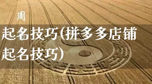 起名技巧(拼多多店铺起名技巧)_https://www.nbtfsb.com_生肖星座_第1张