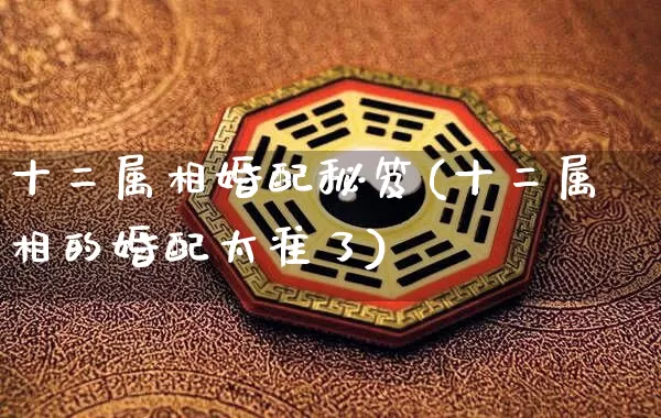 十二属相婚配秘笈(十二属相的婚配太准了)_https://www.nbtfsb.com_五行风水_第1张