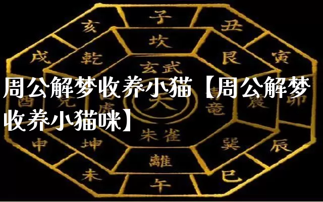 周公解梦收养小猫【周公解梦收养小猫咪】_https://www.nbtfsb.com_国学动态_第1张