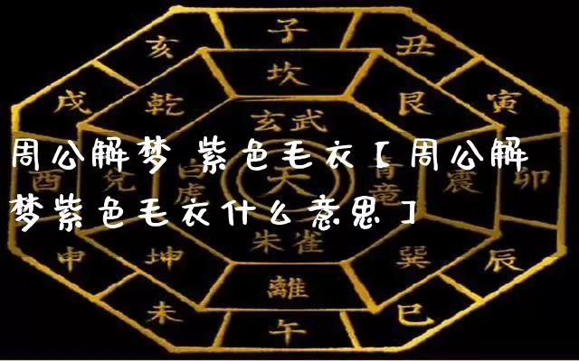 周公解梦 紫色毛衣【周公解梦紫色毛衣什么意思】_https://www.nbtfsb.com_周公解梦_第1张