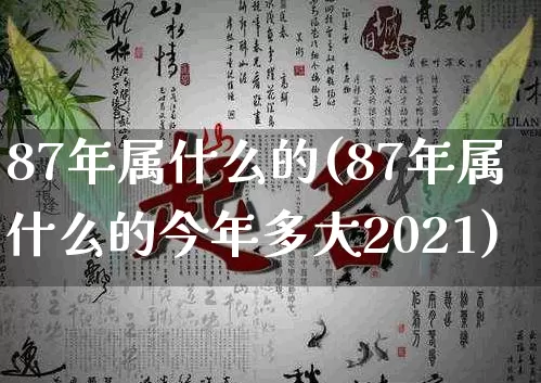 87年属什么的(87年属什么的今年多大2021)_https://www.nbtfsb.com_生肖星座_第1张