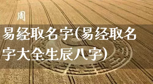 易经取名字(易经取名字大全生辰八字)_https://www.nbtfsb.com_易经起名_第1张