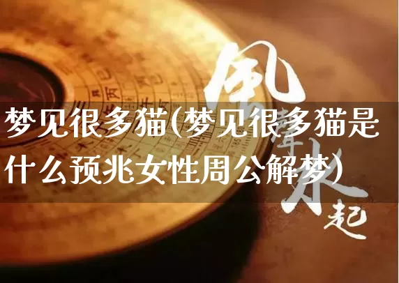 梦见很多猫(梦见很多猫是什么预兆女性周公解梦)_https://www.nbtfsb.com_道源国学_第1张