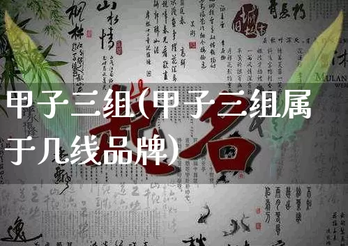 甲子三组(甲子三组属于几线品牌)_https://www.nbtfsb.com_生肖星座_第1张