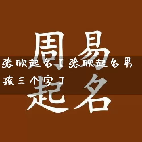张欣起名【张欣起名男孩三个字】_https://www.nbtfsb.com_国学动态_第1张