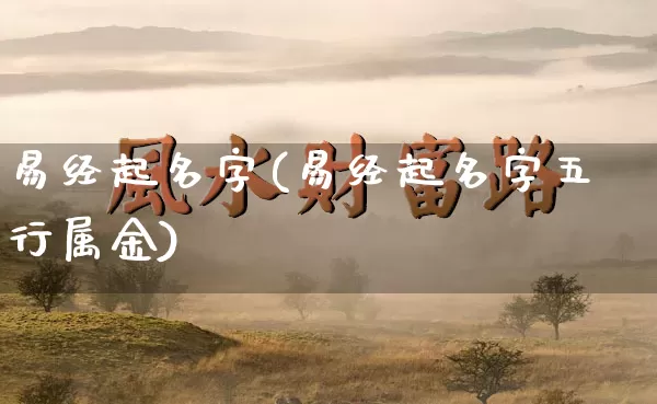 易经起名字(易经起名字五行属金)_https://www.nbtfsb.com_五行风水_第1张