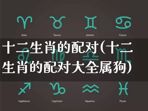 十二生肖的配对(十二生肖的配对大全属狗)_https://www.nbtfsb.com_国学动态_第1张