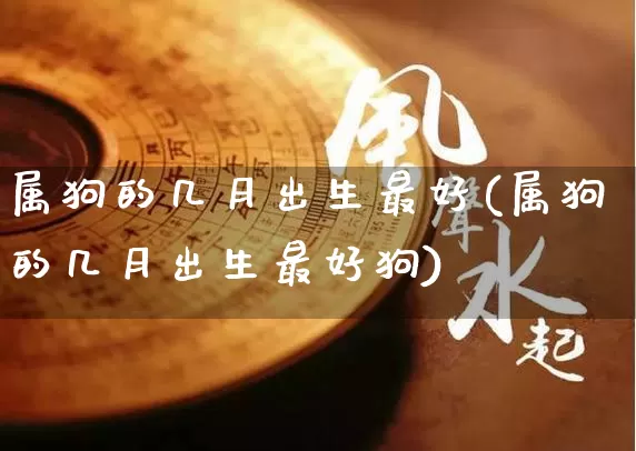 属狗的几月出生最好(属狗的几月出生最好狗)_https://www.nbtfsb.com_国学动态_第1张