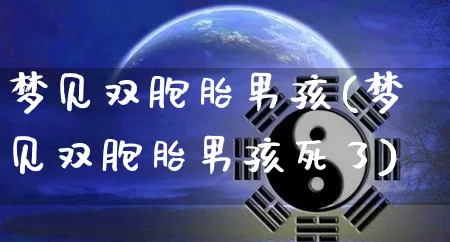 梦见双胞胎男孩(梦见双胞胎男孩死了)_https://www.nbtfsb.com_五行风水_第1张