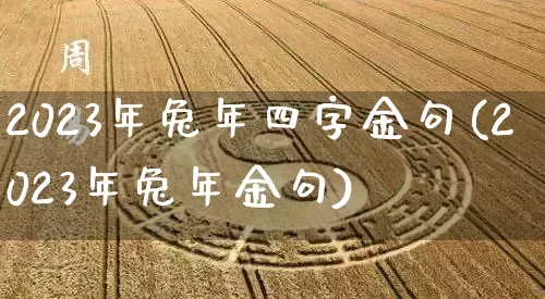 2023年兔年四字金句(2023年兔年金句)_https://www.nbtfsb.com_易经起名_第1张