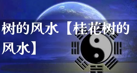 树的风水【桂花树的风水】_https://www.nbtfsb.com_八字算命_第1张