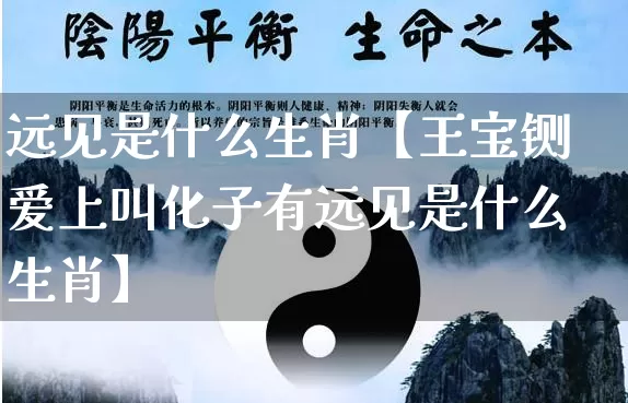 远见是什么生肖【王宝铡爱上叫化子有远见是什么生肖】_https://www.nbtfsb.com_易经起名_第1张