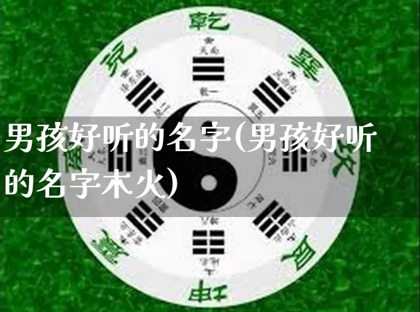 男孩好听的名字(男孩好听的名字木火)_https://www.nbtfsb.com_八字算命_第1张