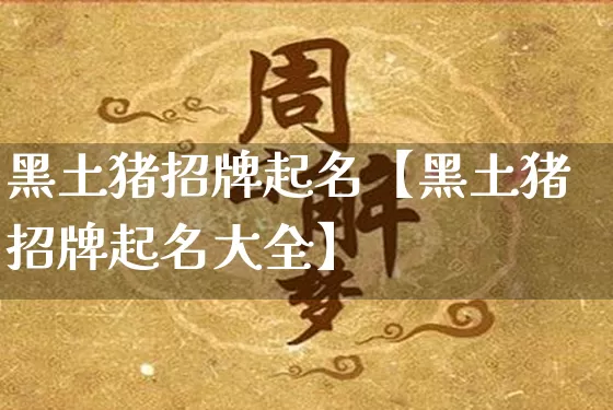黑土猪招牌起名【黑土猪招牌起名大全】_https://www.nbtfsb.com_生肖星座_第1张